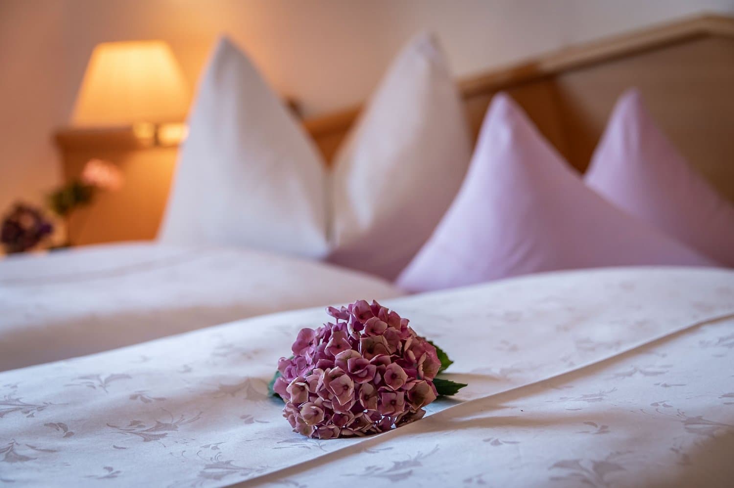 apartment mendel 13 apartment mendel 13