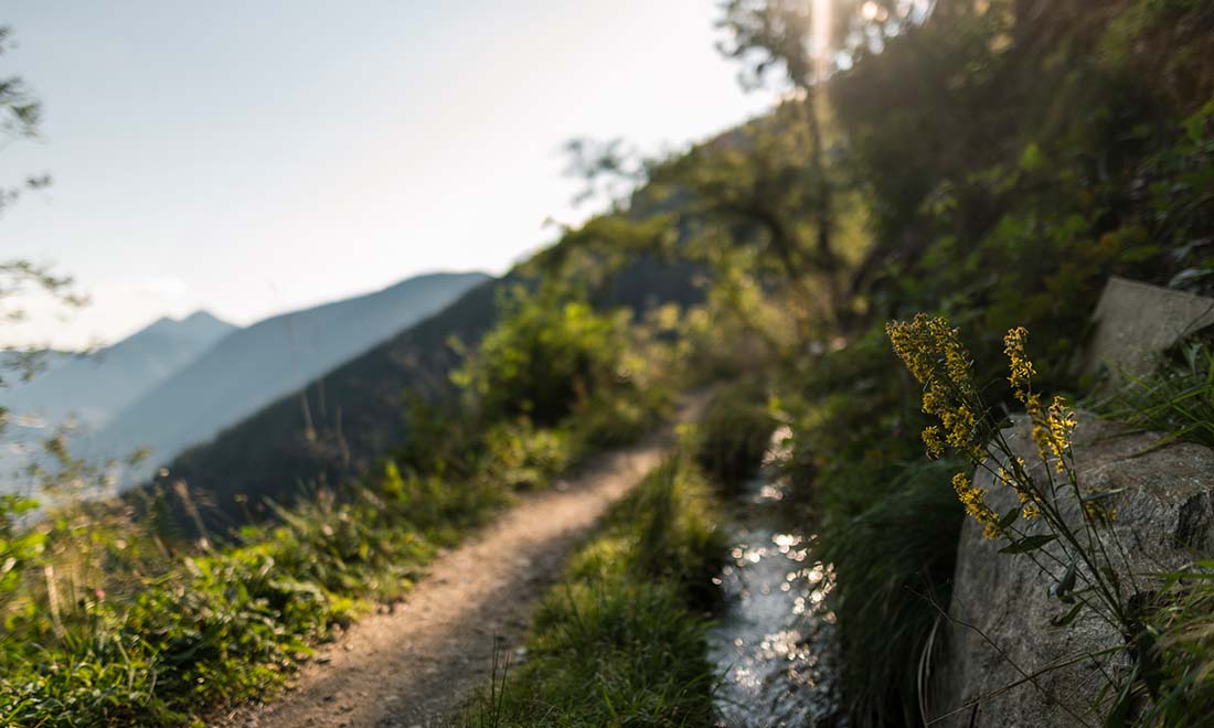 immenhof meran urlaub suedtirol sommer 3