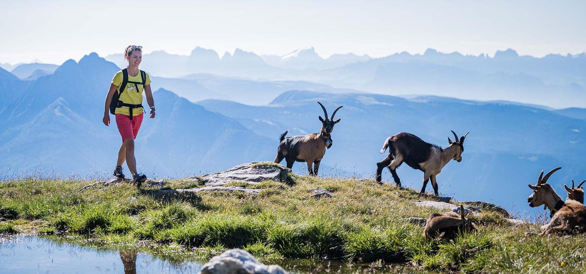 residence immenhof traumhaft gelegene ferienwohnungen in dorf tirol suedtirol 3 1 1 0002 tvdt 004290