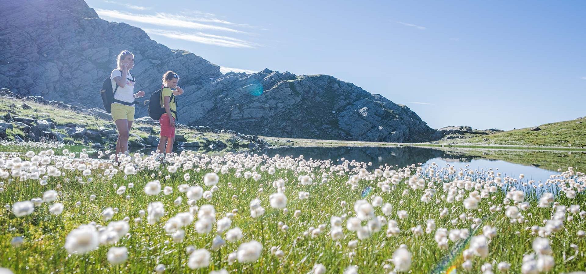 residence immenhof traumhaft gelegene ferienwohnungen in dorf tirol suedtirol 3 1 1 0003 tvdt 004262